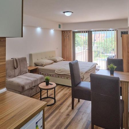 Apartmani Tvins Sokobanja Eksteriør billede
