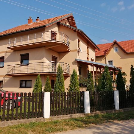 Apartmani Tvins Sokobanja Eksteriør billede