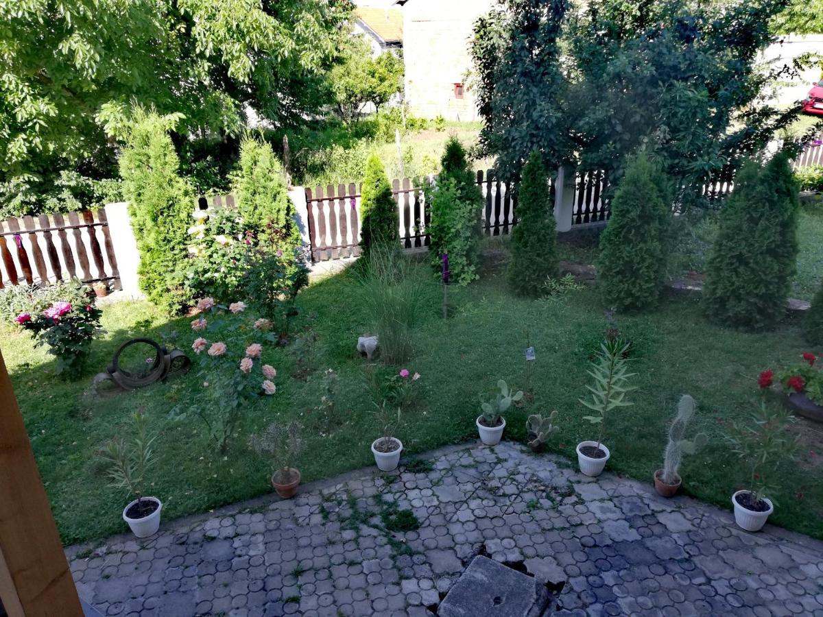 Apartmani Tvins Sokobanja Eksteriør billede
