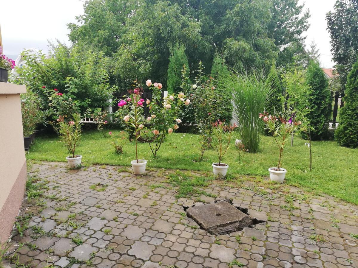 Apartmani Tvins Sokobanja Eksteriør billede